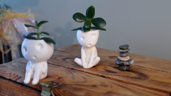 Sitting Kodama Planters Bundle