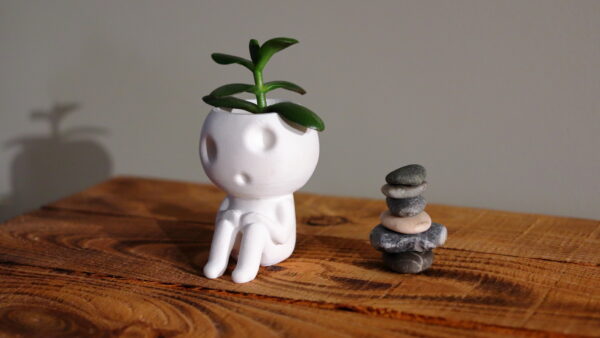 Kodama Planter Keera front