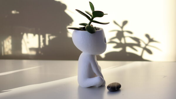 Kodama Planter side Home-Decors