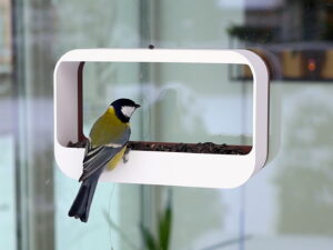 Window bird feeder with a bird eating seeds, attached to a window. Simple and stylish design, perfect for watching birds up close from indoors