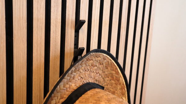 Acoustic Panels hook with hat