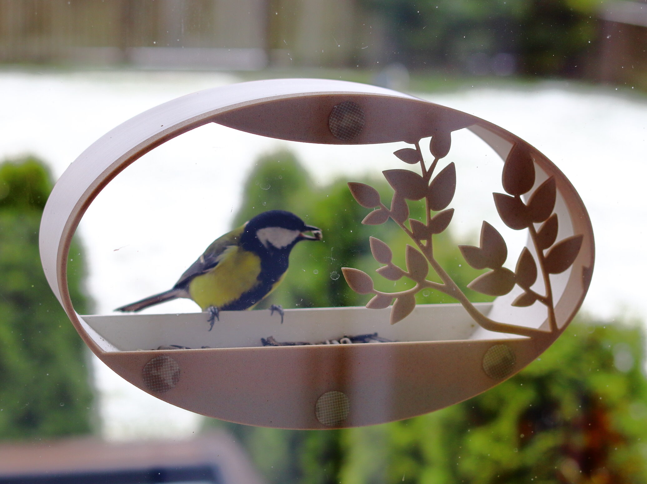 Window Bird Feeder Oasis Leaf